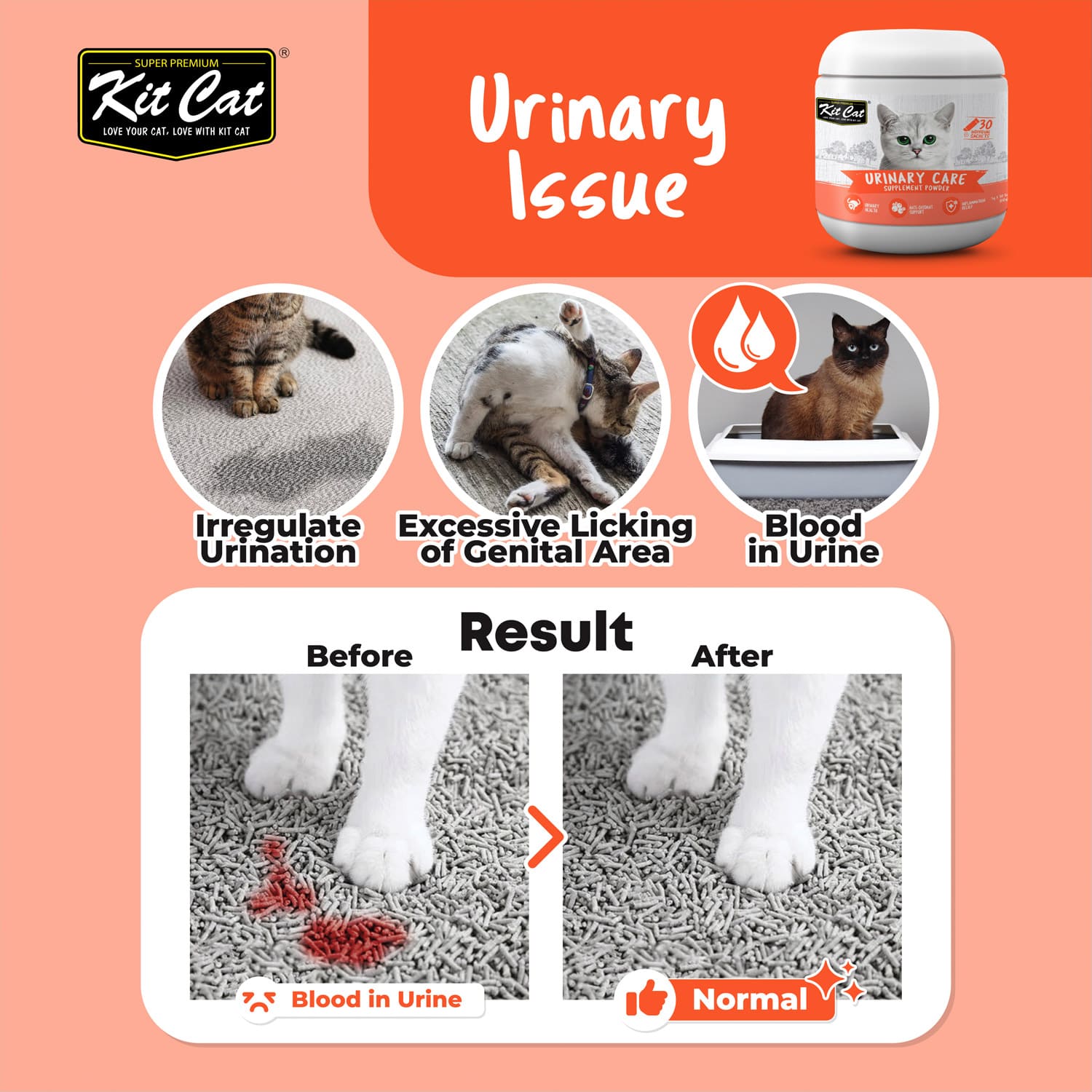 Kit Cat Urinary Care Supplement Powder 150g