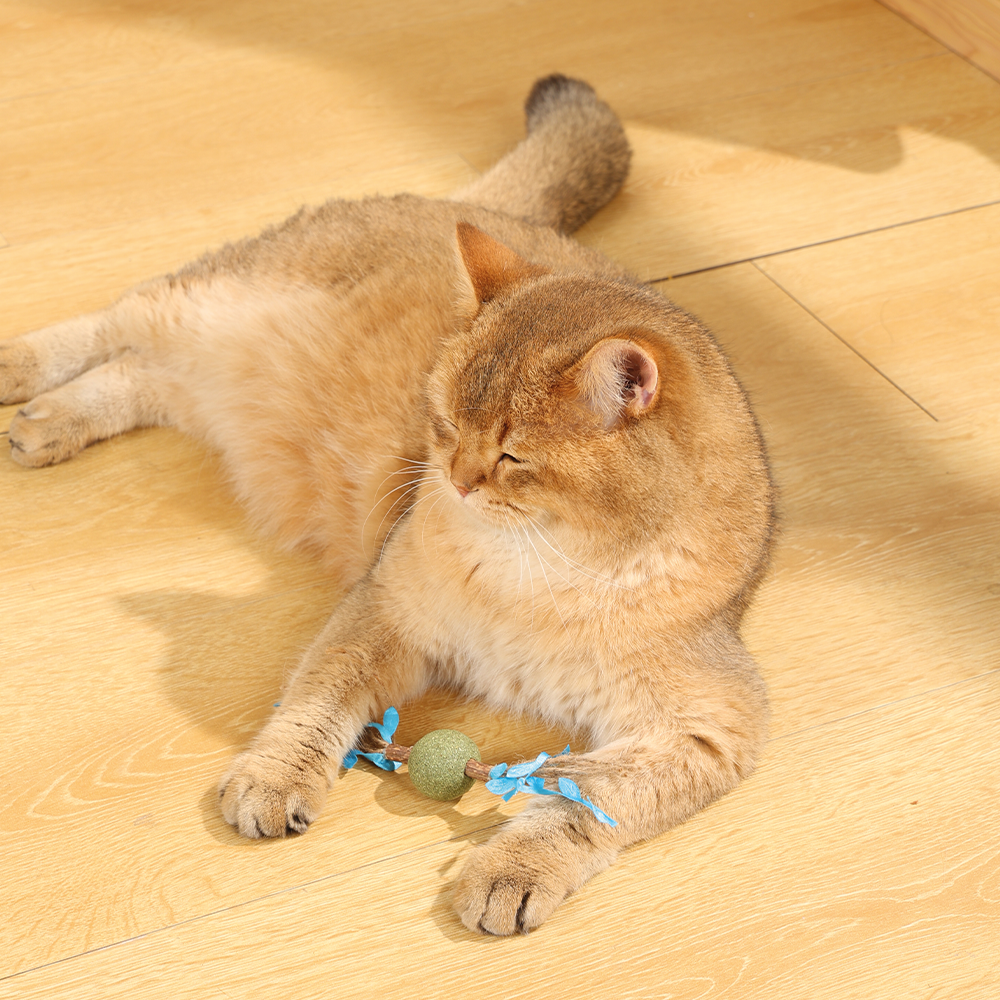 Charmy Branch Catnip Cat Toy