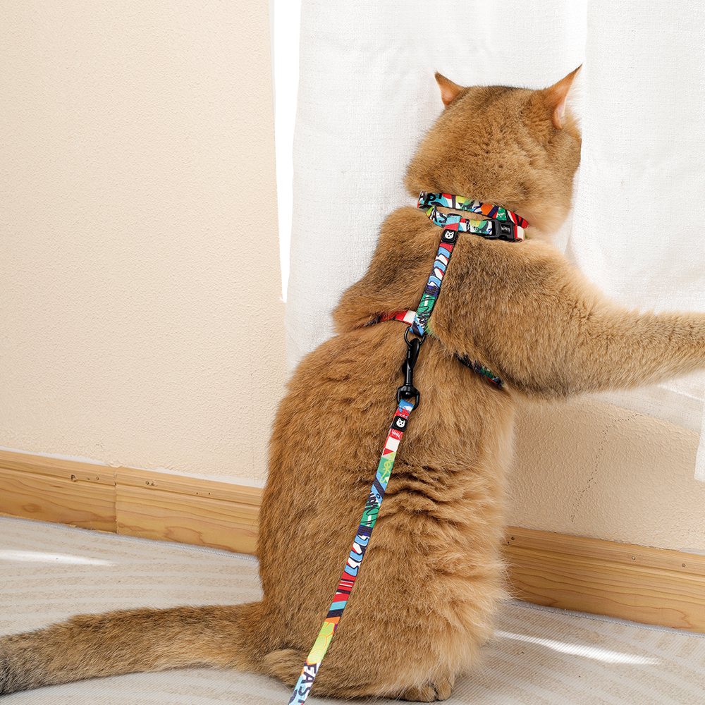 Freestyle Cat Eco Set (Harness & Leash)