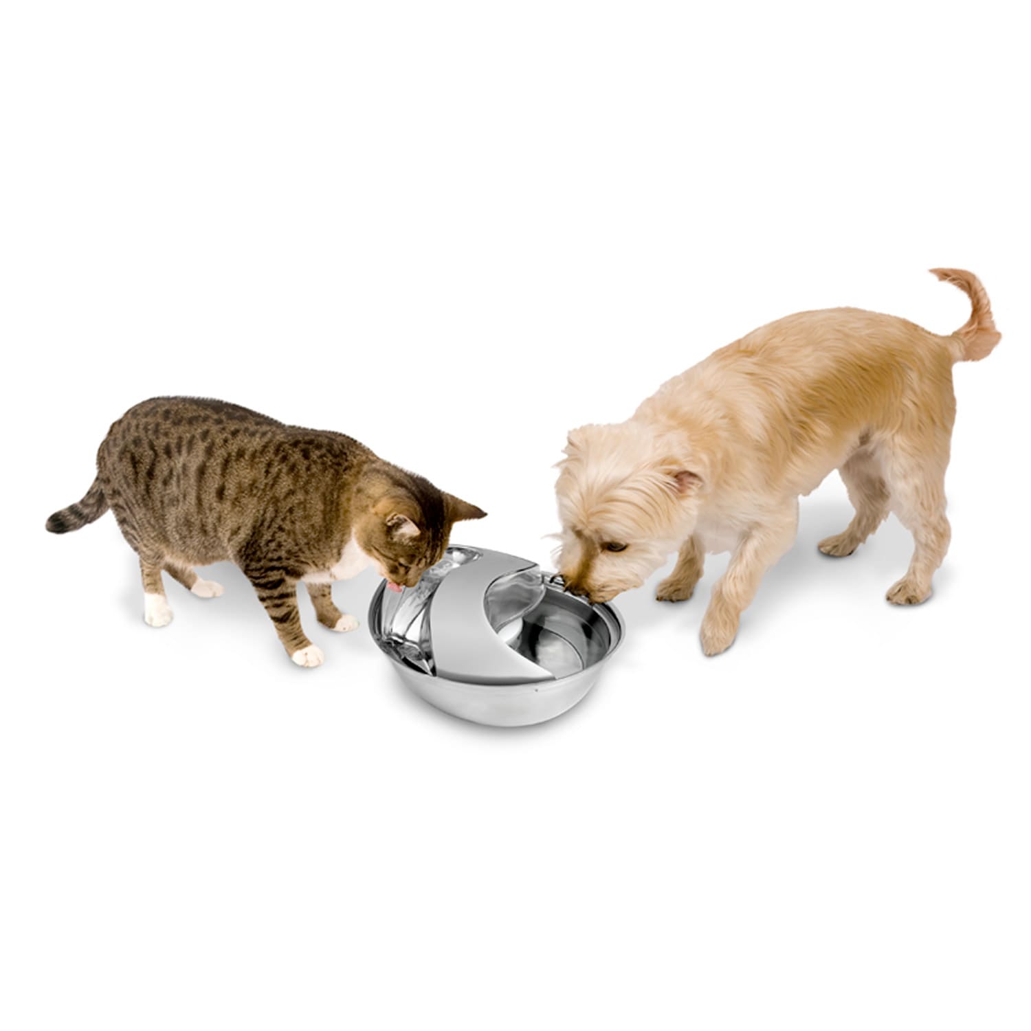 Raindrop Durable Pet Fountain 60oz (Stainless Steel)