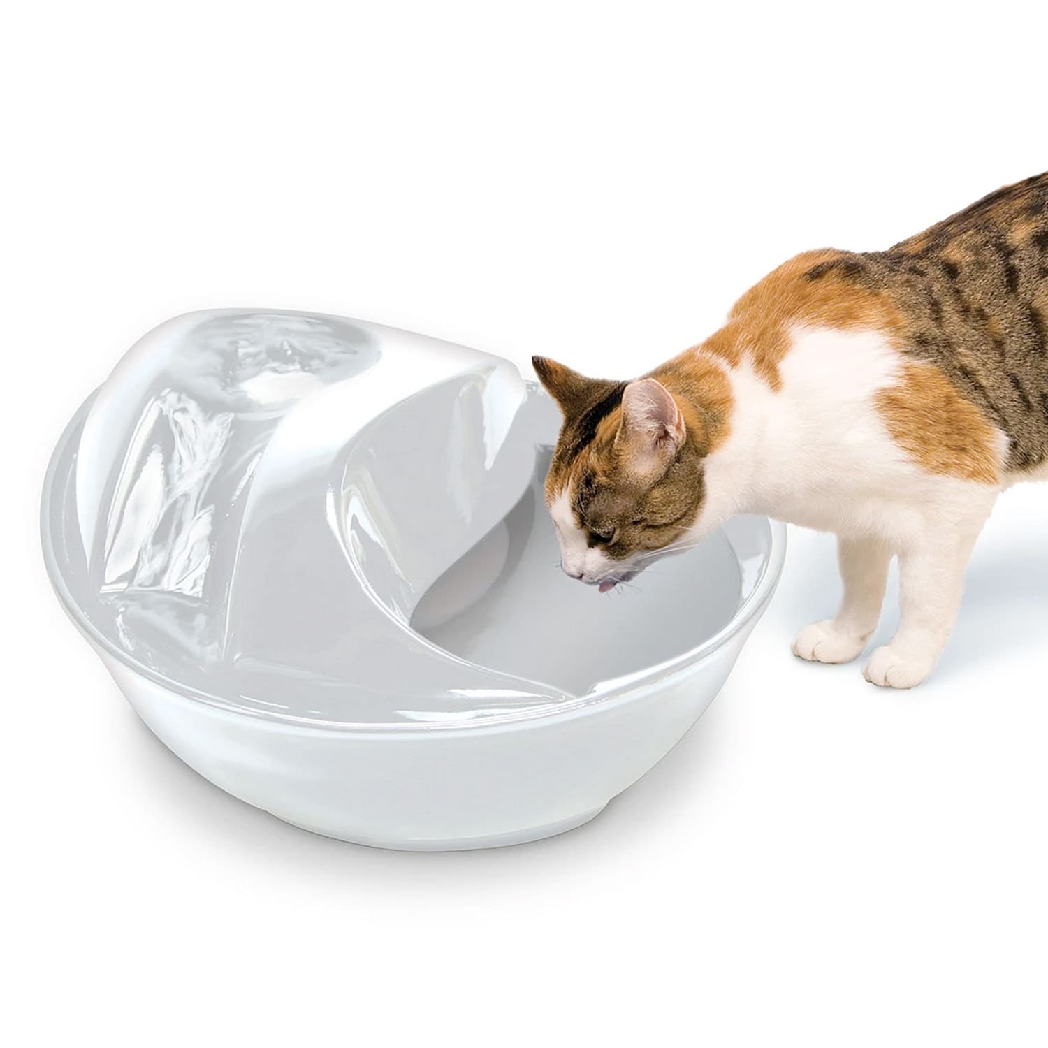 Raindrop Durable Ceramic Pet Fountain 60oz