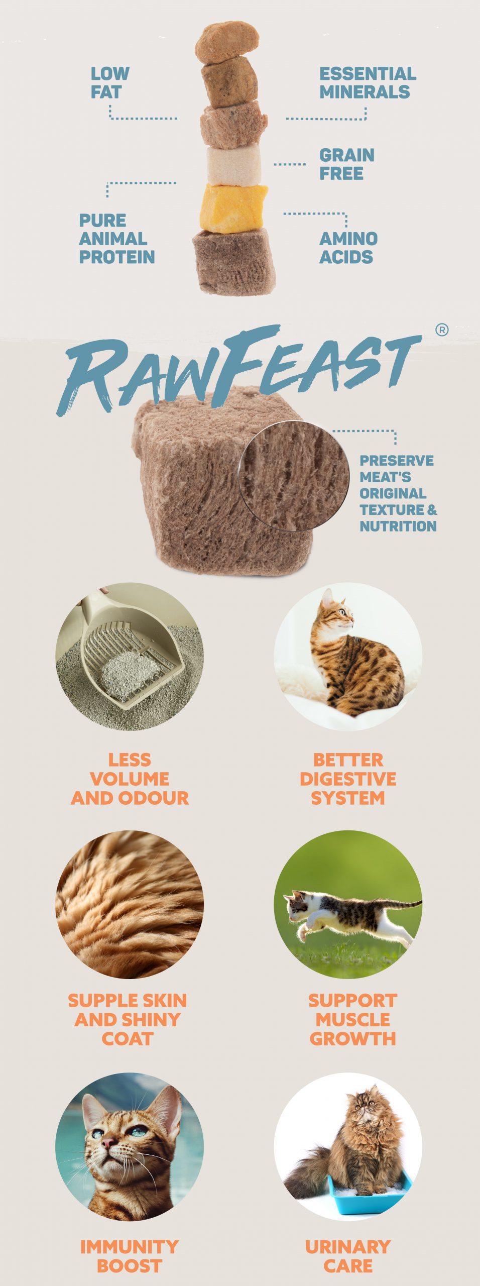 Quail Raw Feast Freeze Dried Booster السمان فريسة كاملة مجففة بالتبريد