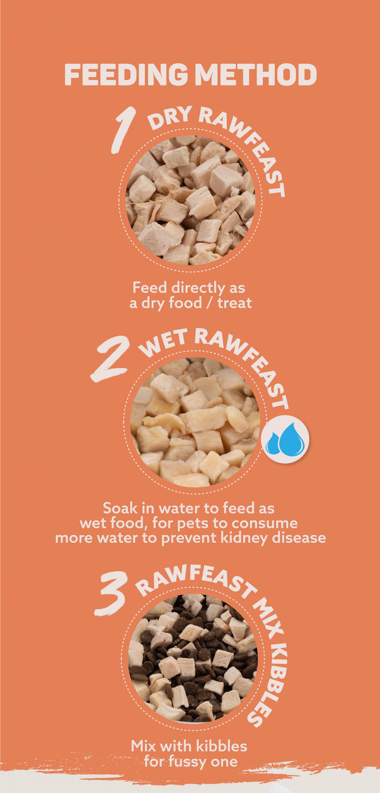 Quail Raw Feast Freeze Dried Booster السمان فريسة كاملة مجففة بالتبريد