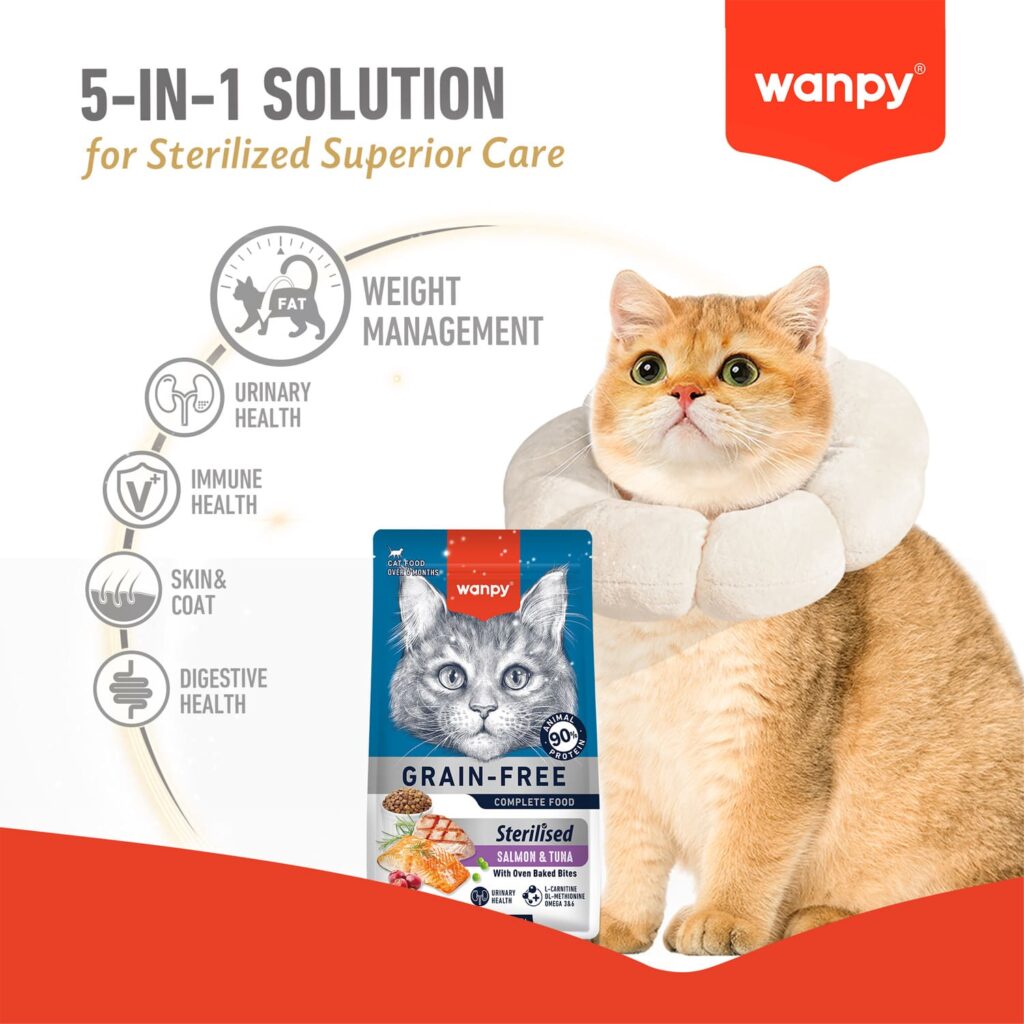 WANPY Grain Free Sterilized Cat Food – Salmon & Tuna Recipe