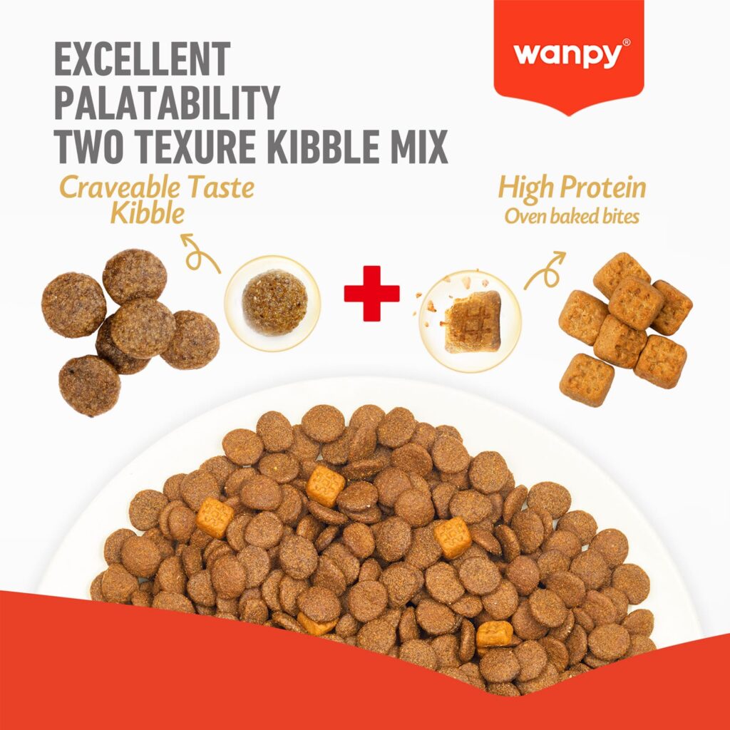 WANPY Grain Free Sterilized Cat Food – Salmon & Tuna Recipe