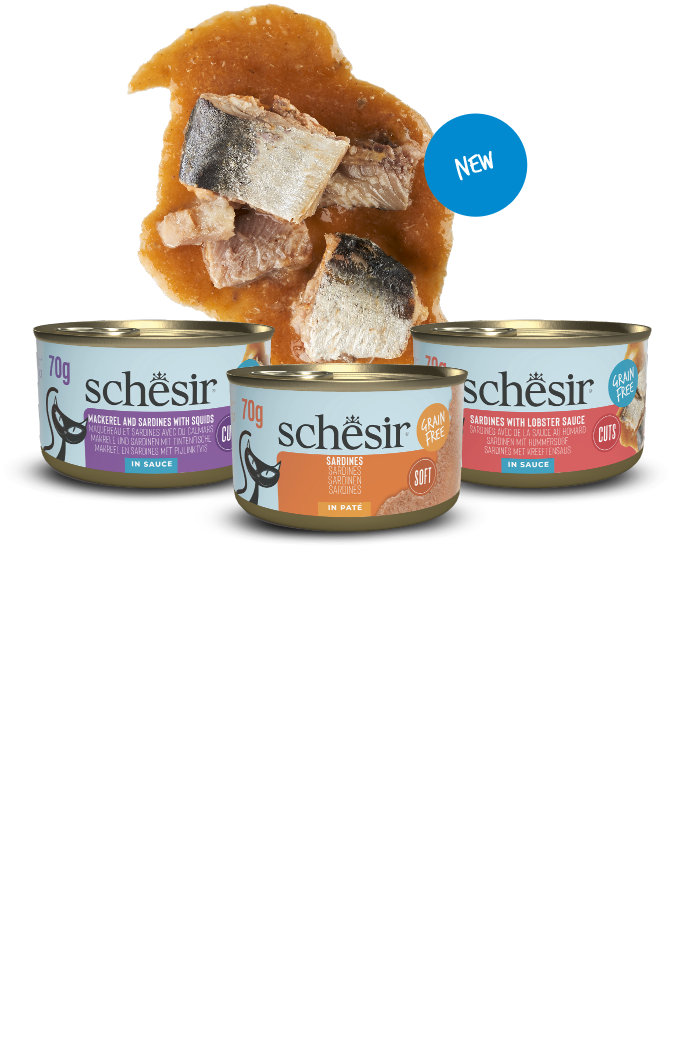 Grill Pate’ Cat Can Sardines In Lobster Sauce