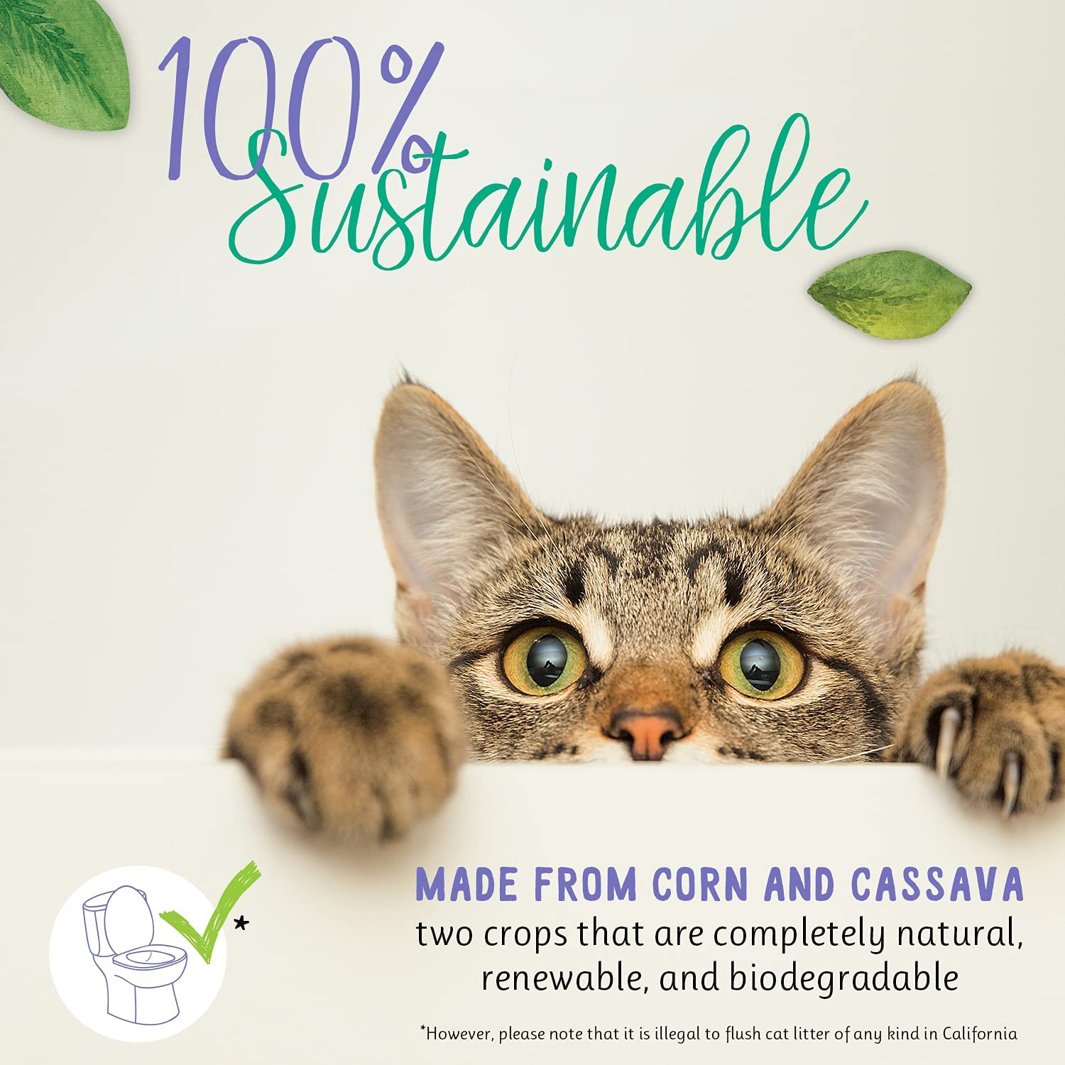 Sustainably Yours Natural Cat Litter (Plus)