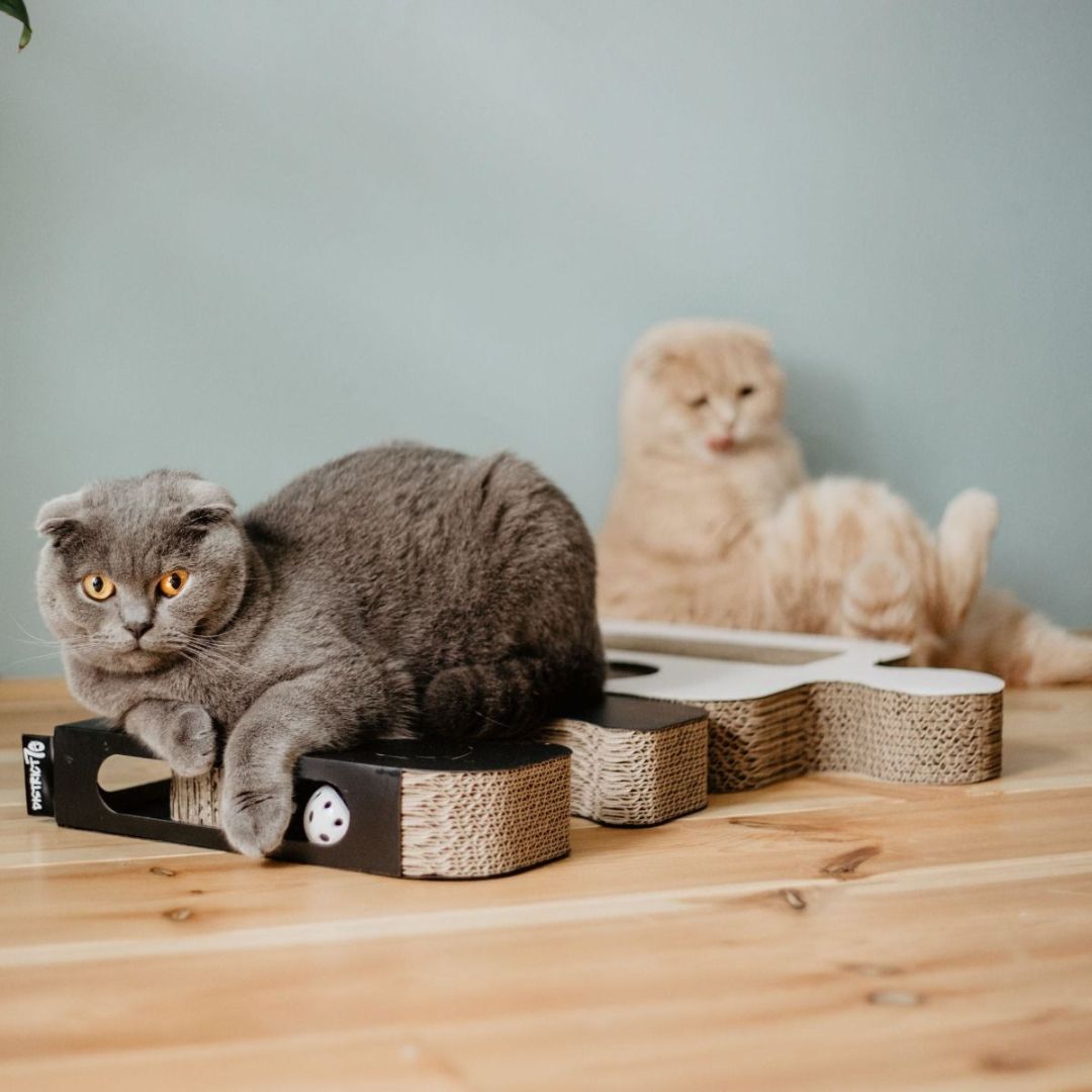 District 70 Puzzle Cardboard Cat Scratch Toy AD Petz.ae