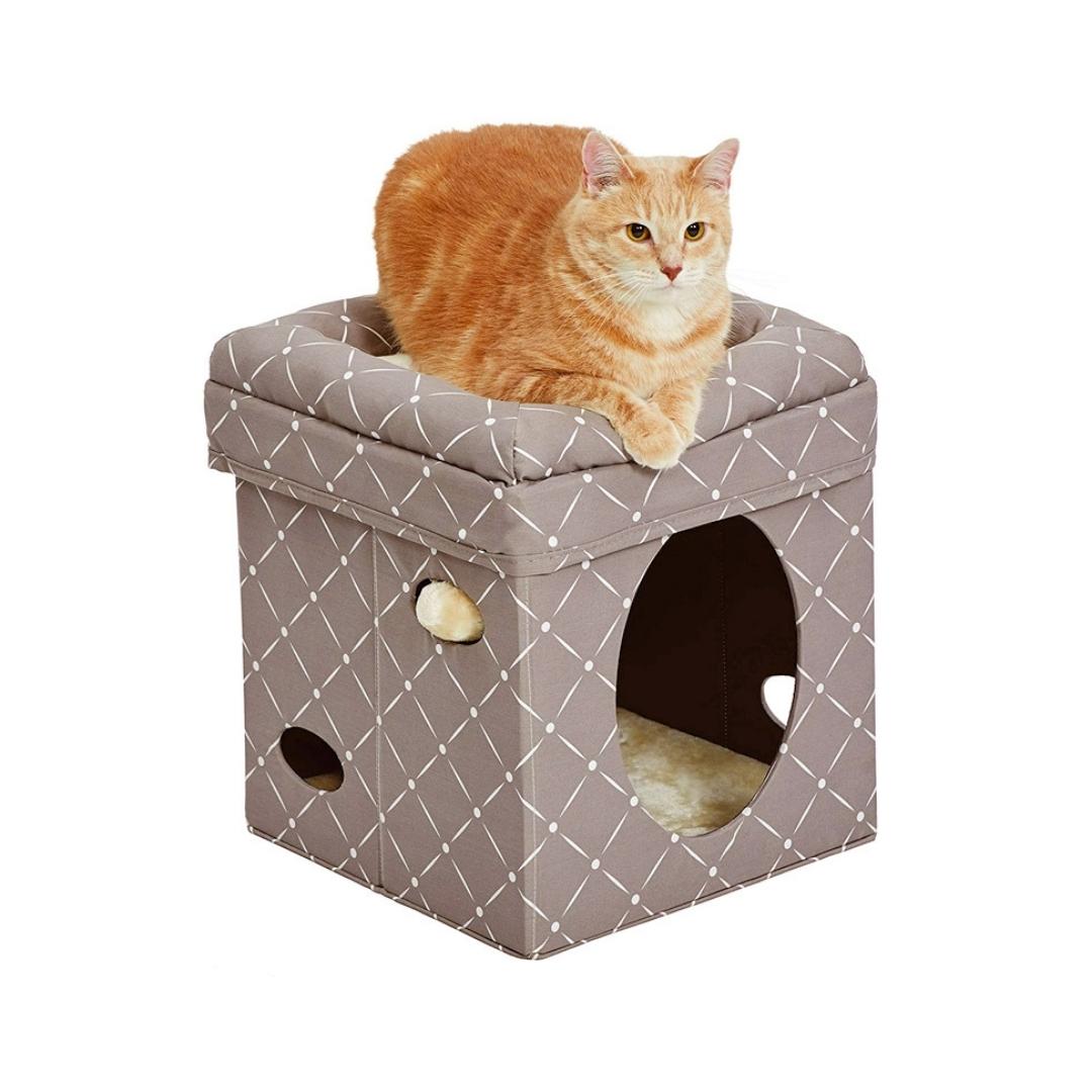 MidWest Curious Cat Cube Mushroom Petz.ae